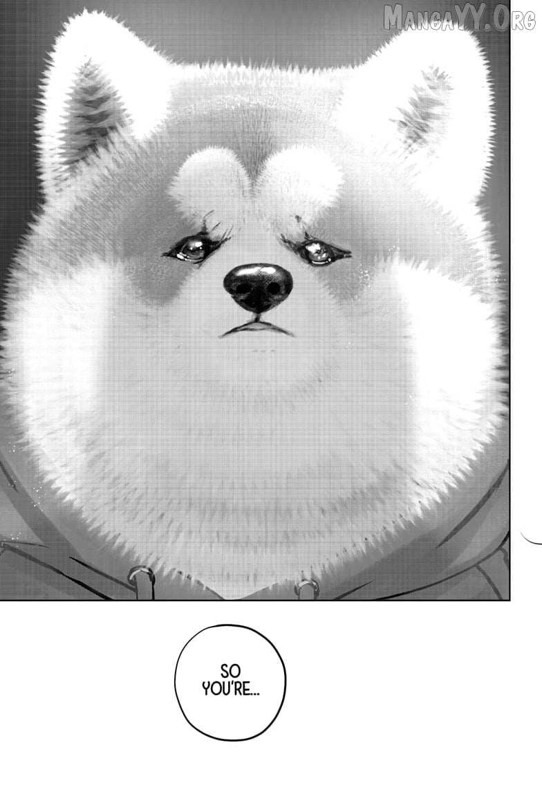 Shiba Inu Rooms Chapter 40 page 31 - 