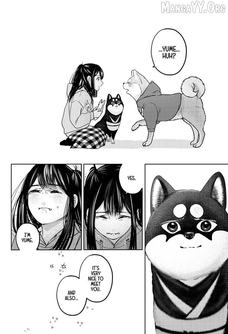 Shiba Inu Rooms Chapter 40 page 32 - 