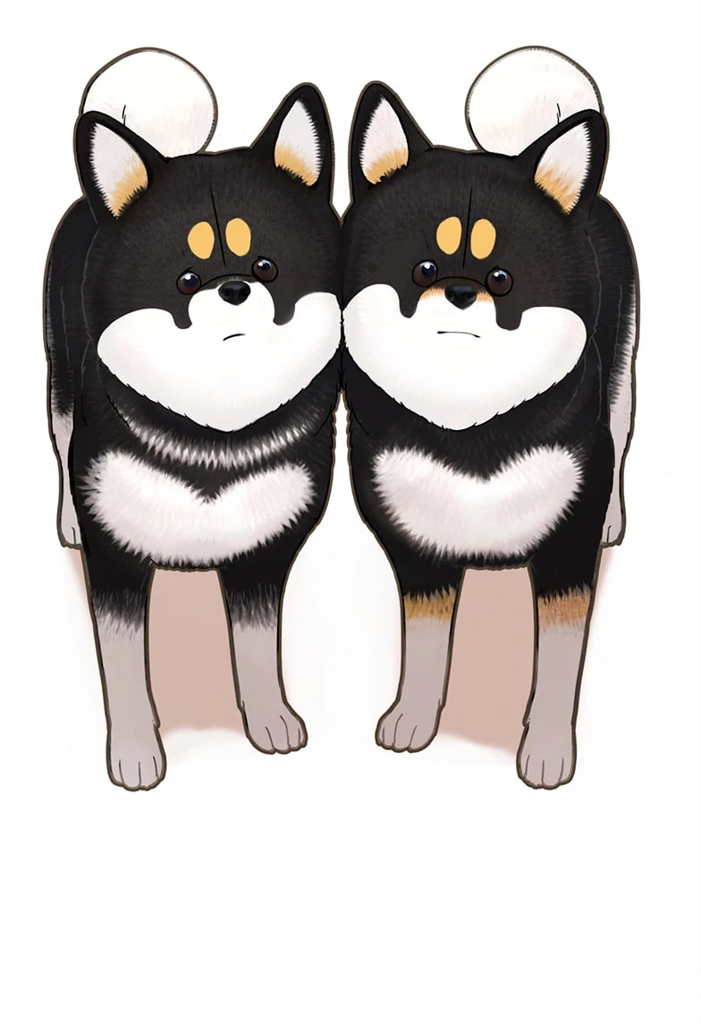Shiba Inu Rooms Chapter 41.1 page 13 - 
