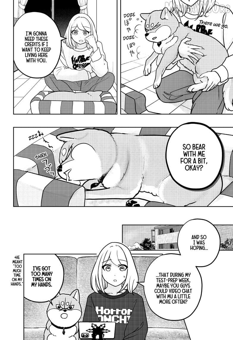 Shiba Inu Rooms Chapter 41 page 2 - 