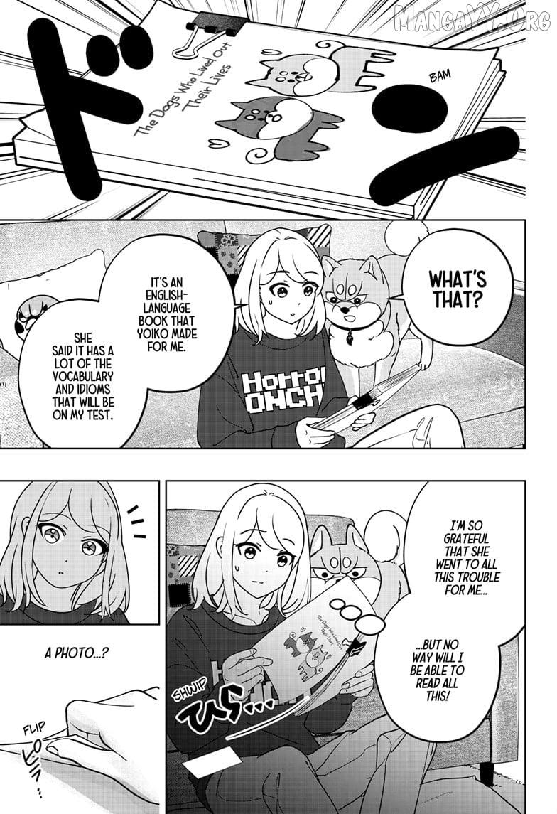 Shiba Inu Rooms Chapter 41 page 11 - 
