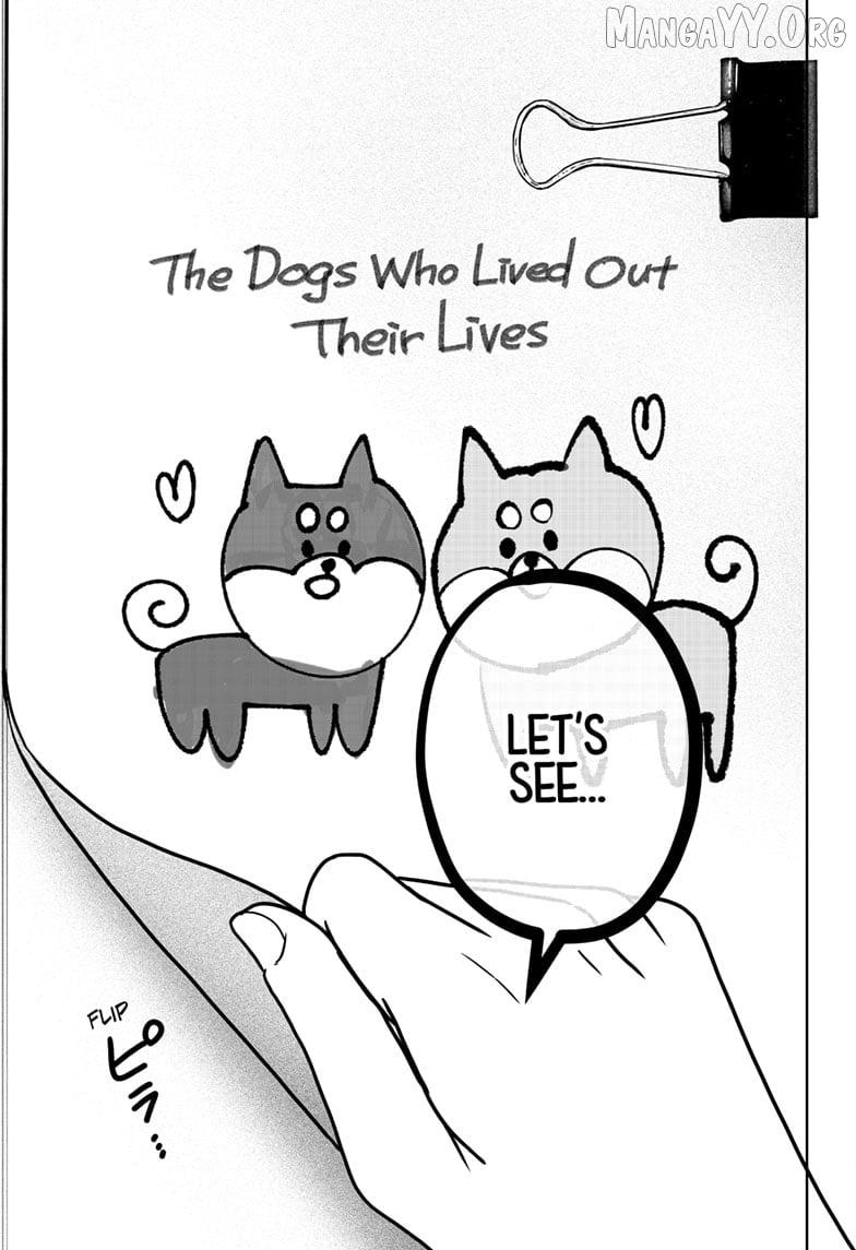Shiba Inu Rooms Chapter 41 page 13 - 