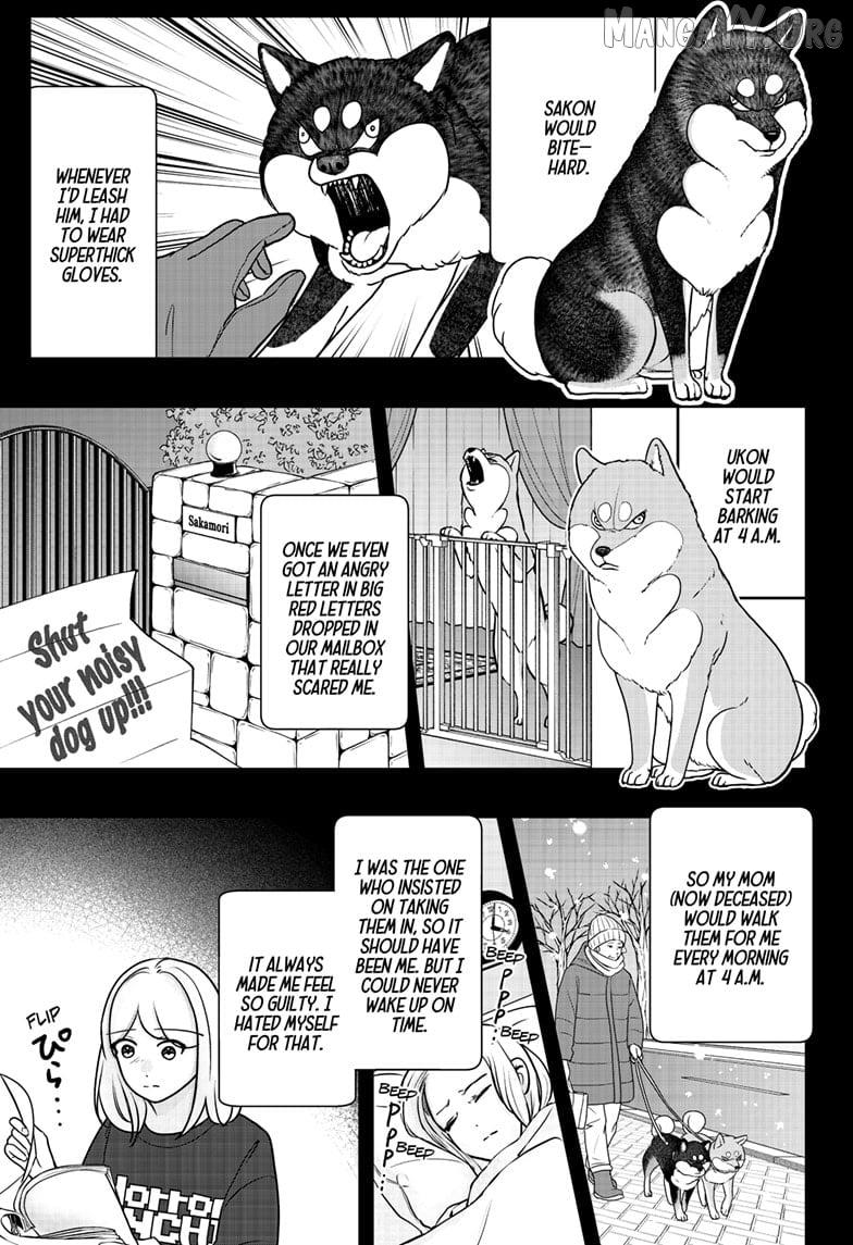 Shiba Inu Rooms Chapter 41 page 15 - 