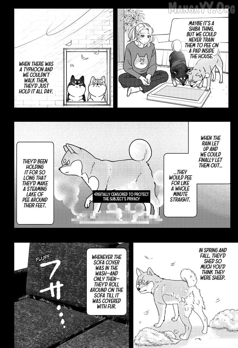 Shiba Inu Rooms Chapter 41 page 16 - 