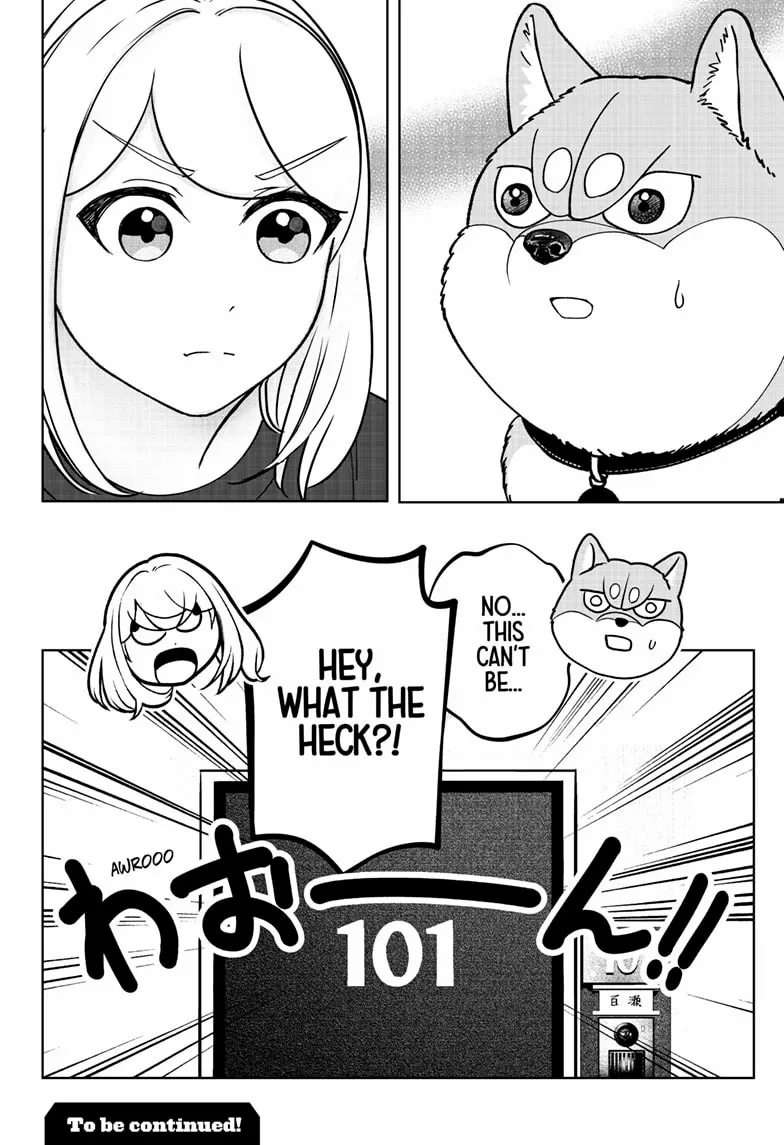 Shiba Inu Rooms Chapter 42 page 27 - 