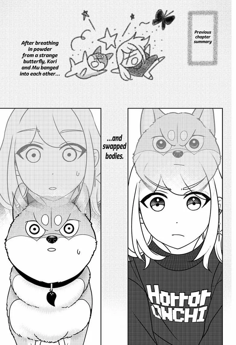 Shiba Inu Rooms Chapter 43 page 1 - 