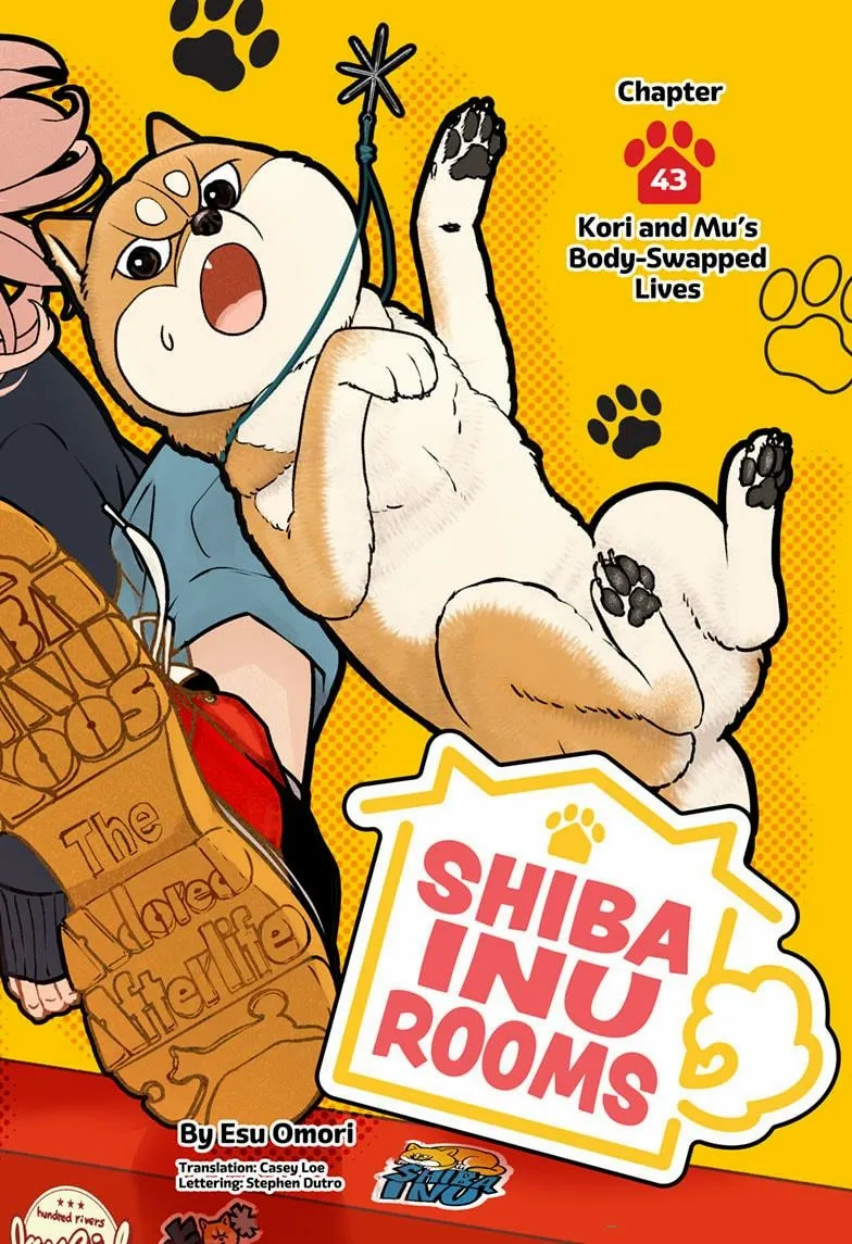 Shiba Inu Rooms Chapter 43 page 2 - 