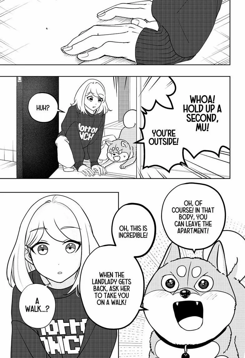 Shiba Inu Rooms Chapter 43 page 11 - 