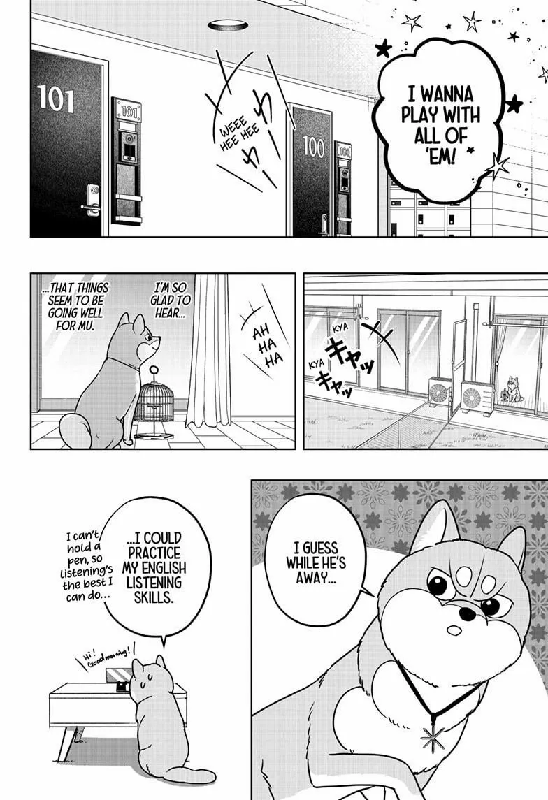 Shiba Inu Rooms Chapter 43 page 16 - 