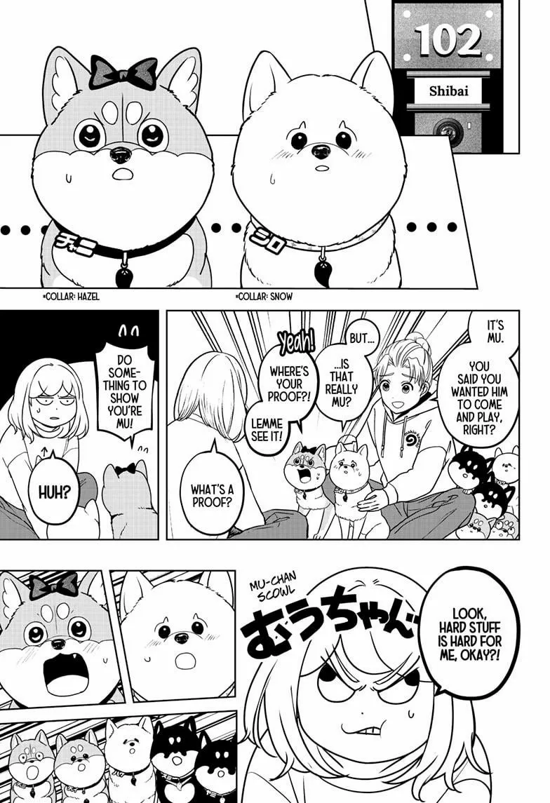Shiba Inu Rooms Chapter 43 page 17 - 
