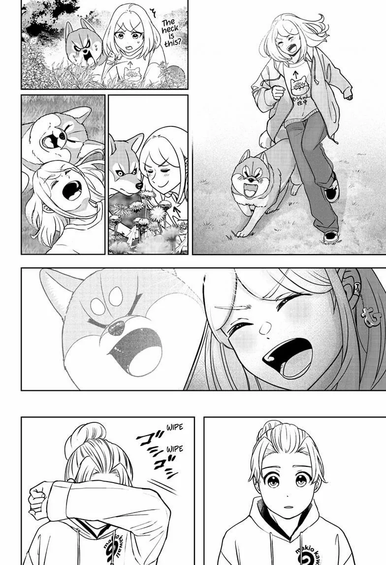 Shiba Inu Rooms Chapter 43 page 24 - 