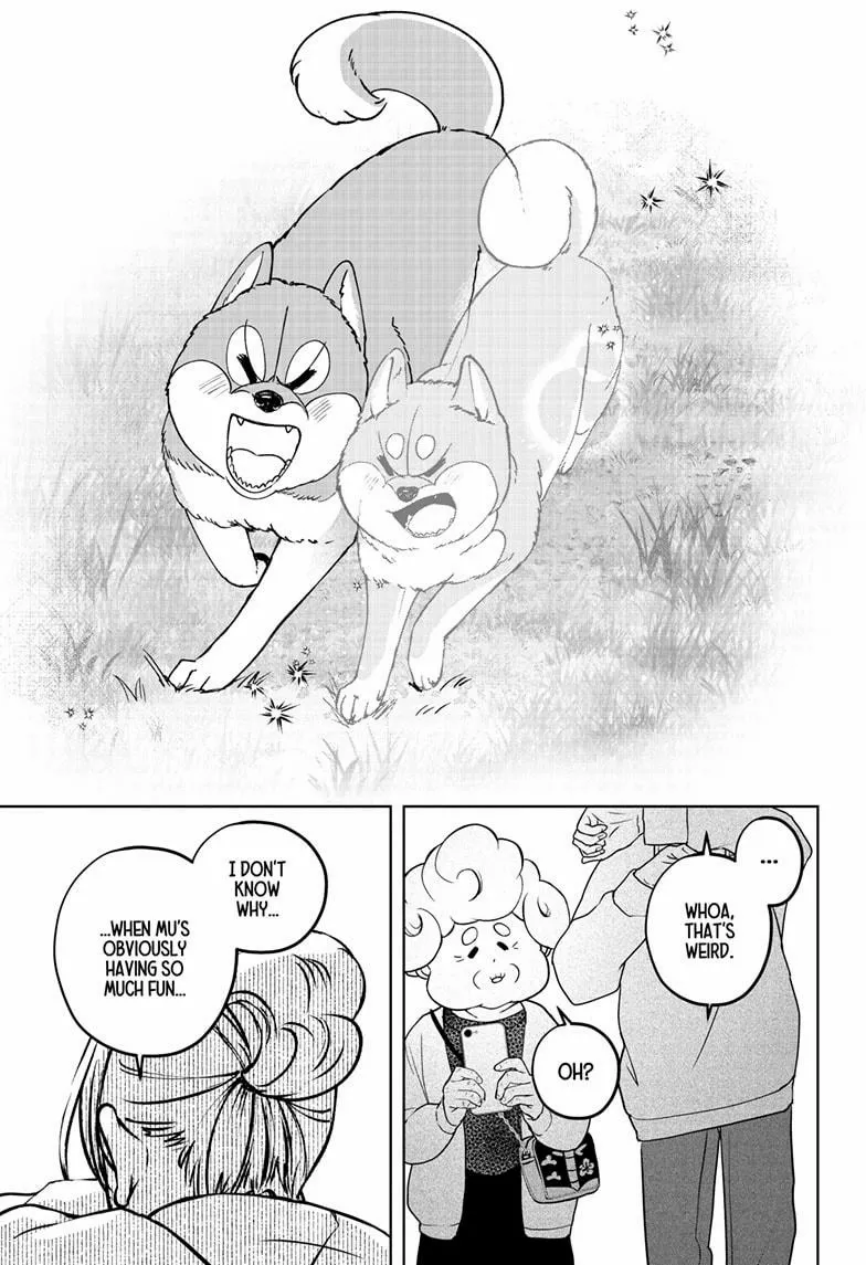 Shiba Inu Rooms Chapter 43 page 25 - 
