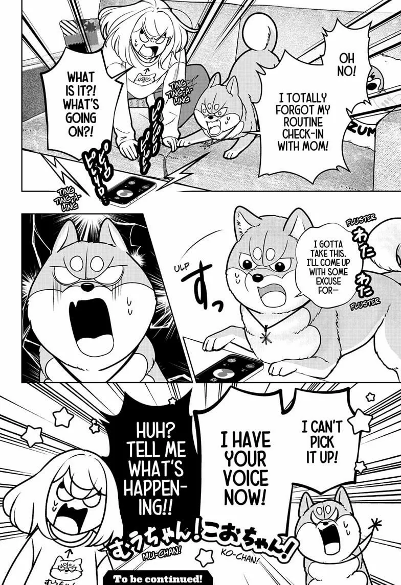 Shiba Inu Rooms Chapter 43 page 32 - 