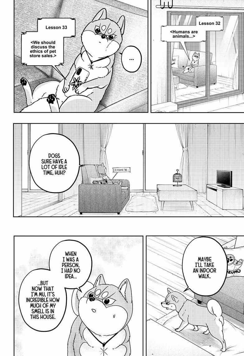 Shiba Inu Rooms Chapter 44 page 24 - 