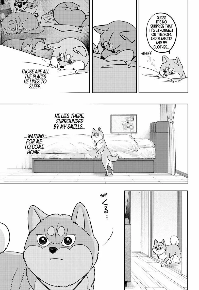 Shiba Inu Rooms Chapter 44 page 25 - 