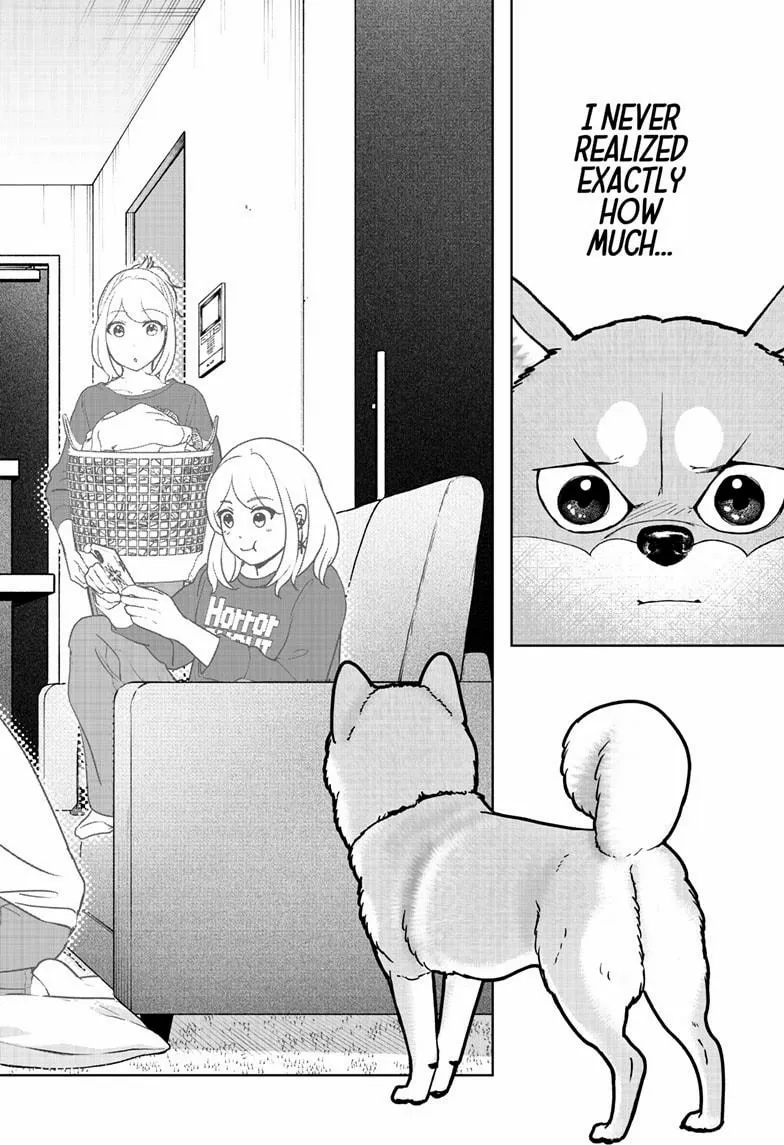 Shiba Inu Rooms Chapter 44 page 26 - 