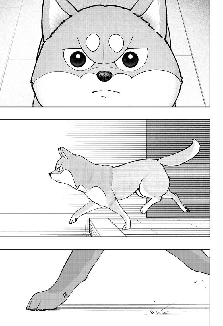 Shiba Inu Rooms Chapter 44 page 33 - 