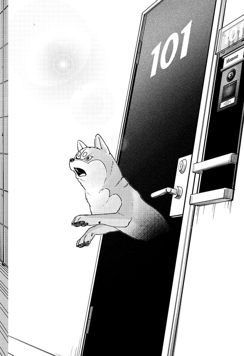 Shiba Inu Rooms Chapter 44 page 34 - 