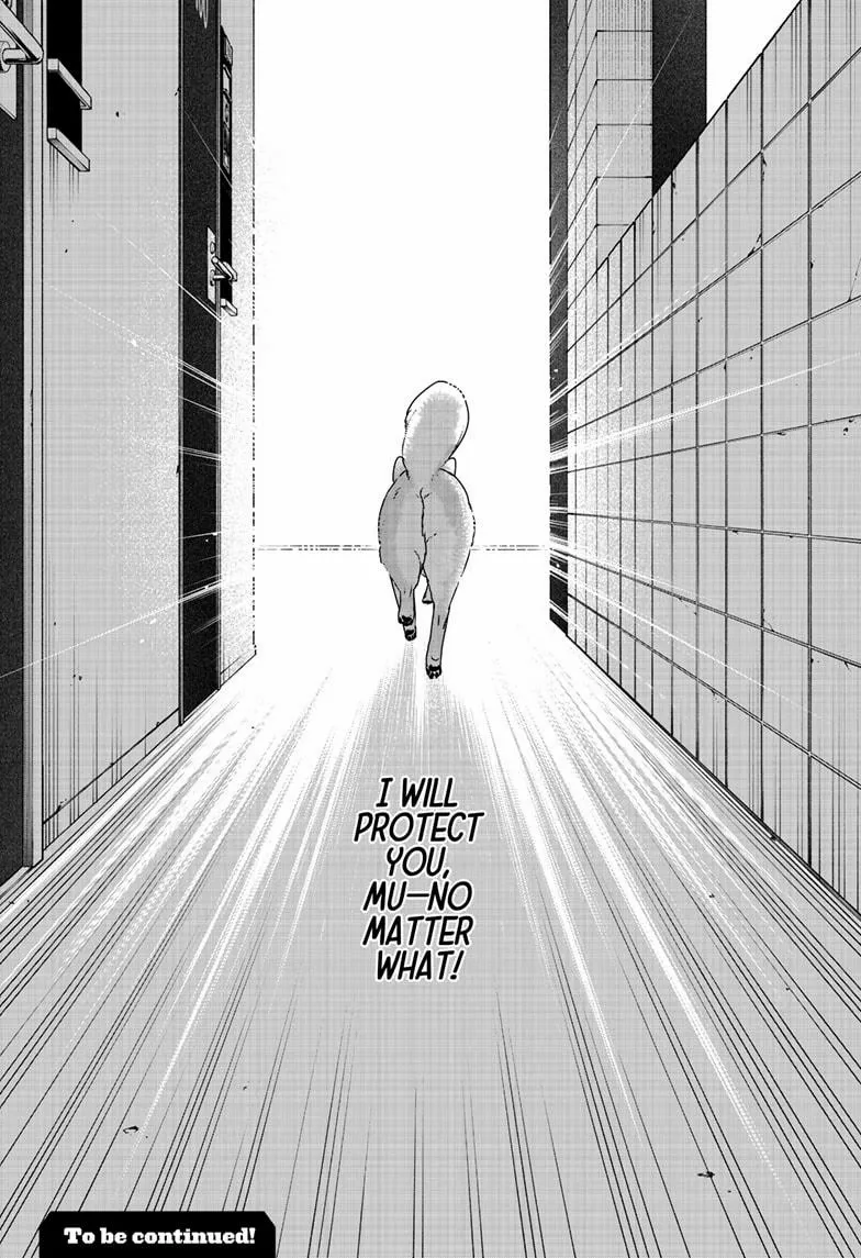 Shiba Inu Rooms Chapter 44 page 35 - 