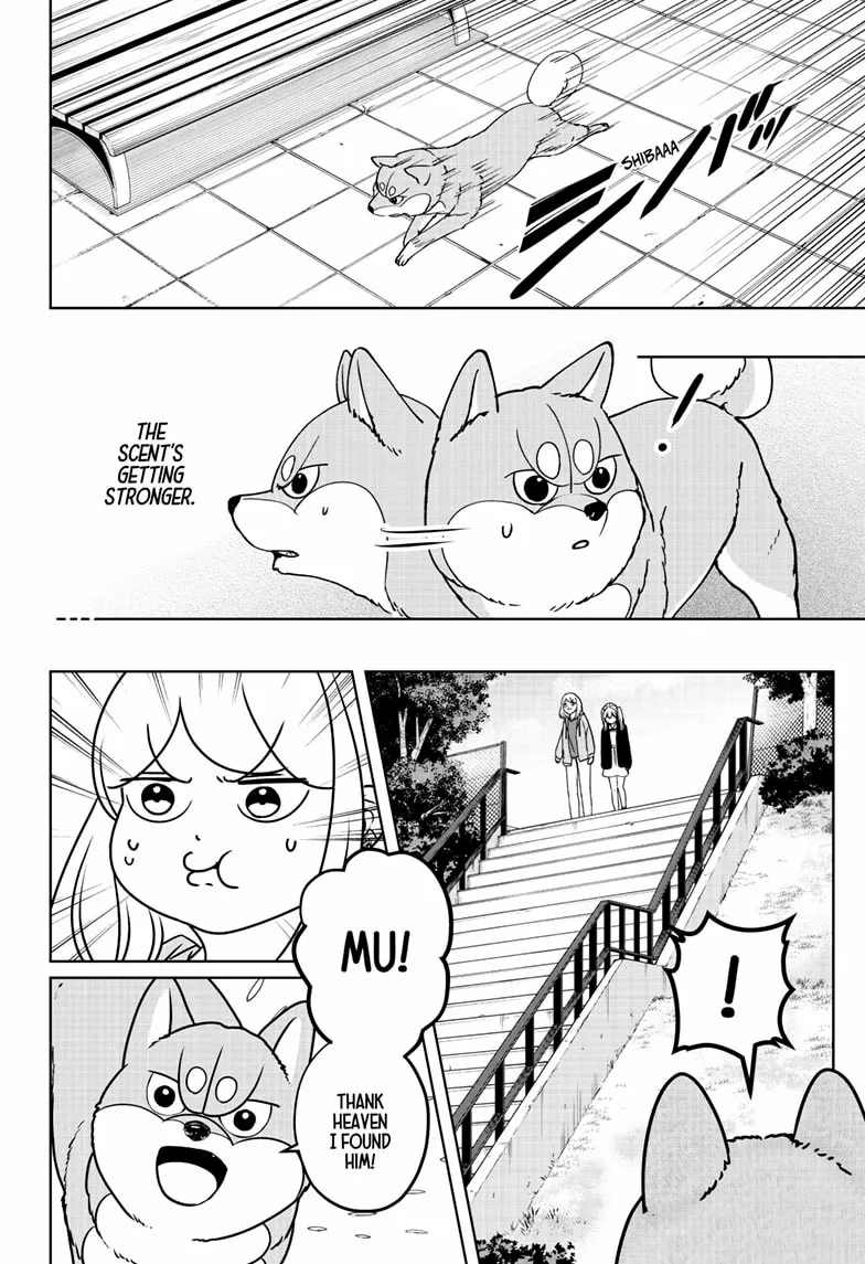 Shiba Inu Rooms Chapter 45 page 15 - 