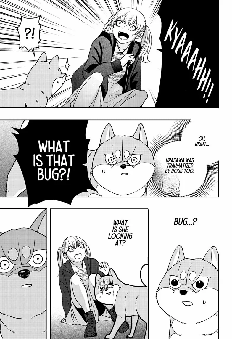 Shiba Inu Rooms Chapter 45 page 20 - 