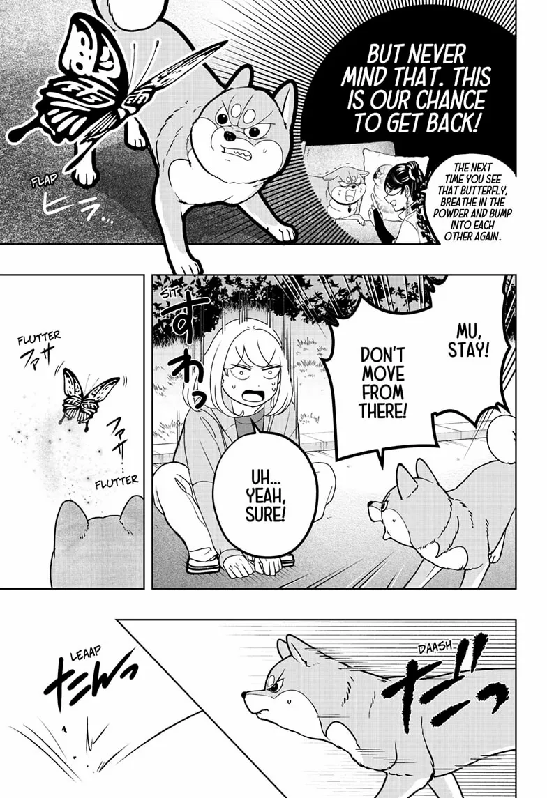 Shiba Inu Rooms Chapter 45 page 22 - 