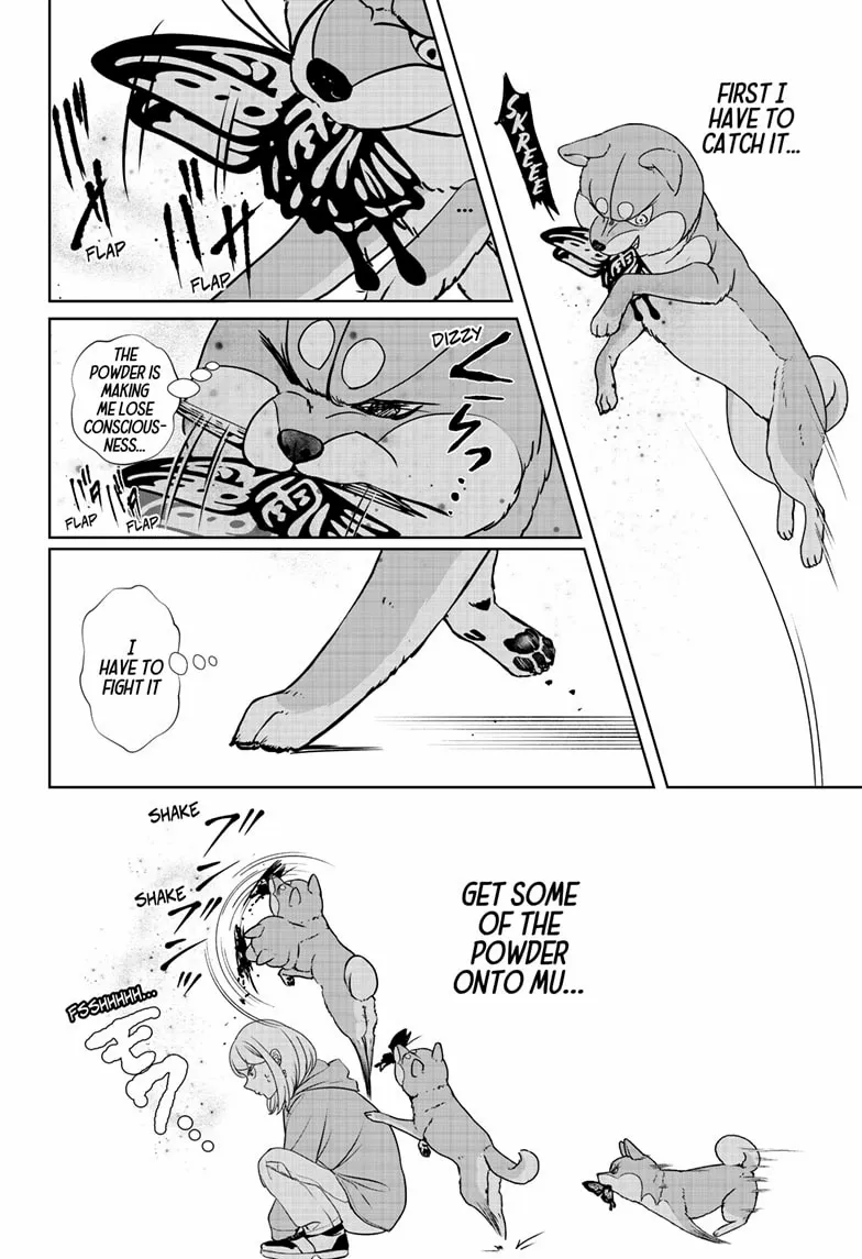 Shiba Inu Rooms Chapter 45 page 23 - 