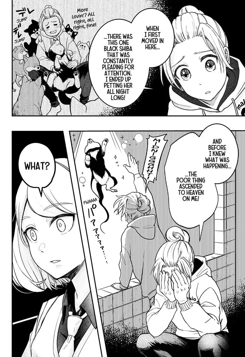 Shiba Inu Rooms Chapter 47 page 13 - 