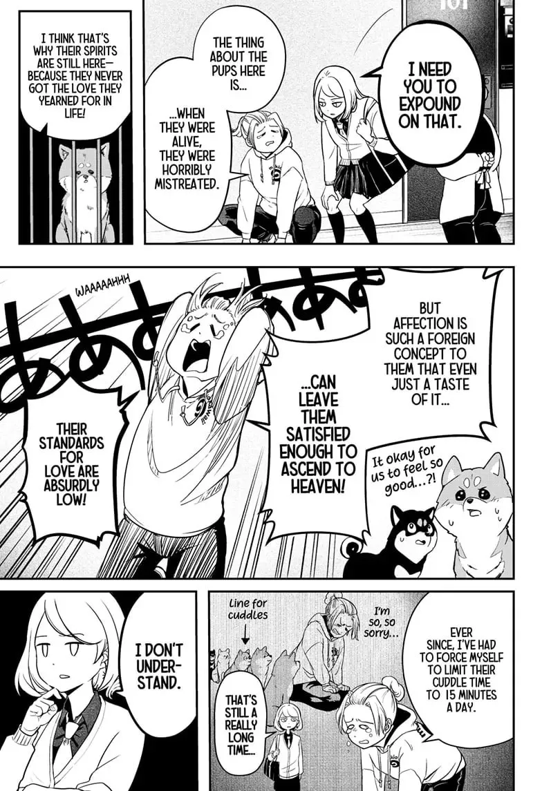 Shiba Inu Rooms Chapter 47 page 14 - 
