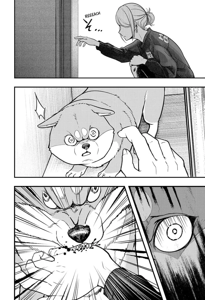 Shiba Inu Rooms Chapter 47 page 21 - 