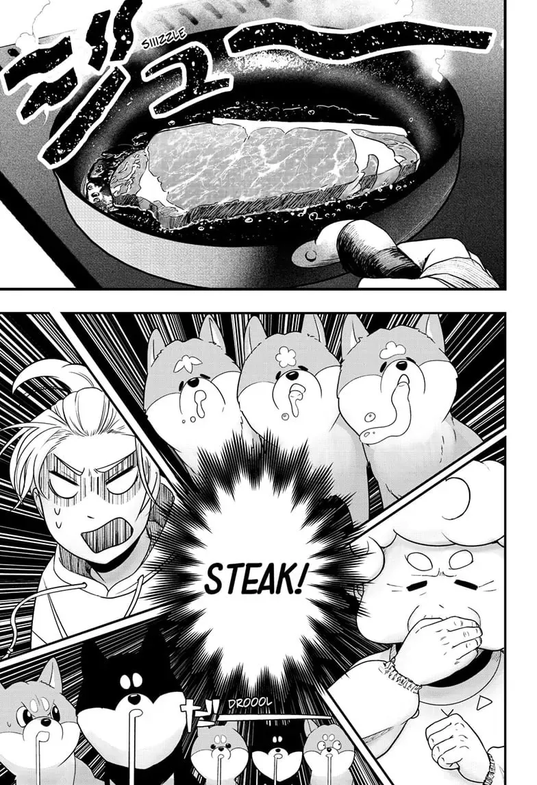 Shiba Inu Rooms Chapter 47 page 38 - 