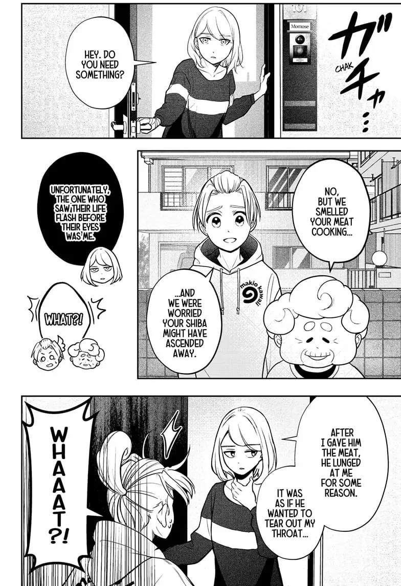 Shiba Inu Rooms Chapter 47 page 43 - 