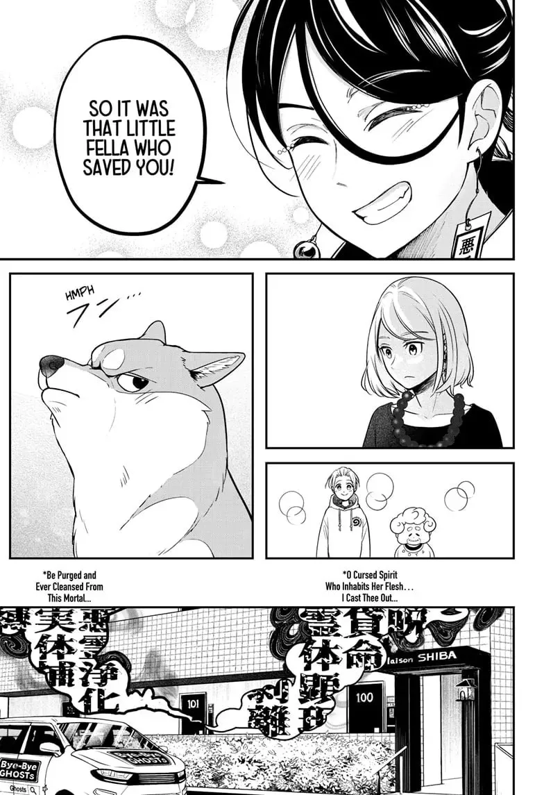 Shiba Inu Rooms Chapter 47 page 50 - 