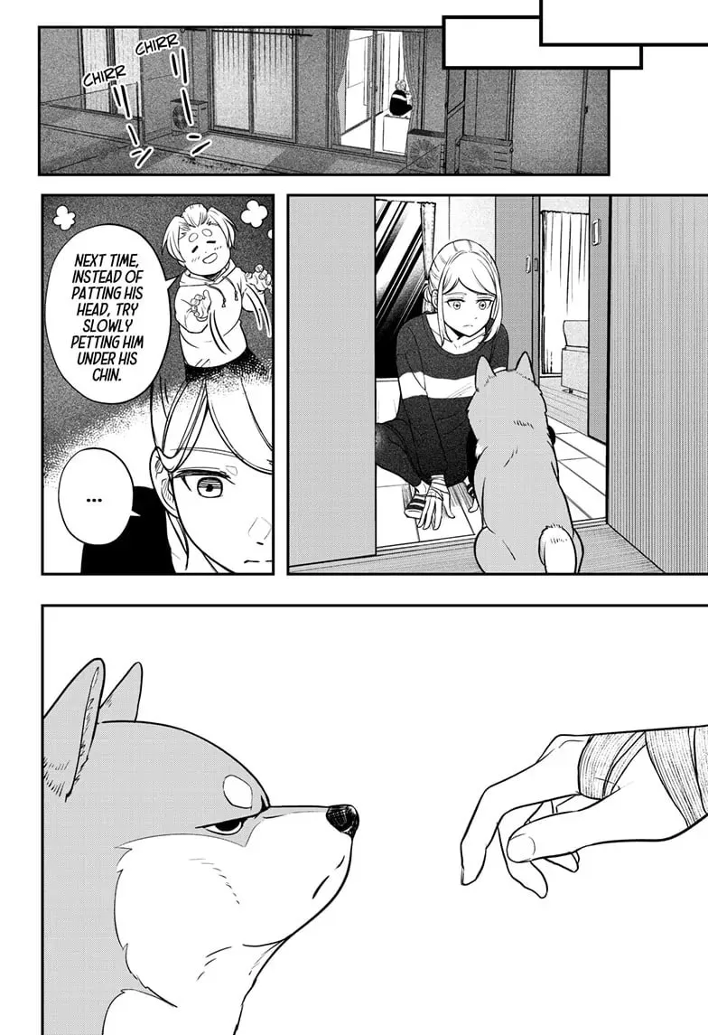 Shiba Inu Rooms Chapter 47 page 61 - 