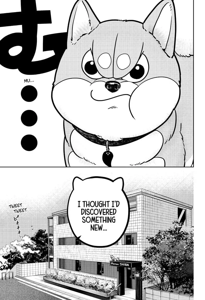 Shiba Inu Rooms Chapter 49 page 5 - 