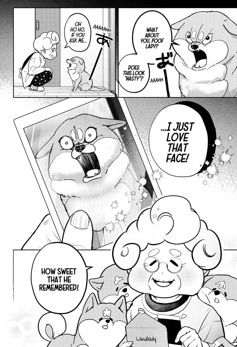 Shiba Inu Rooms Chapter 5 page 16 - 