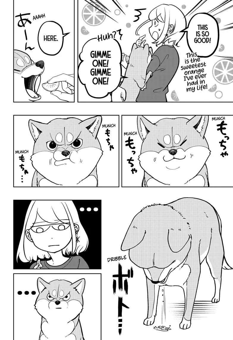 Shiba Inu Rooms Chapter 5 page 18 - 