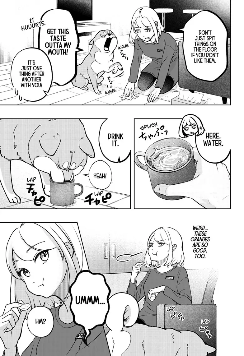 Shiba Inu Rooms Chapter 5 page 19 - 