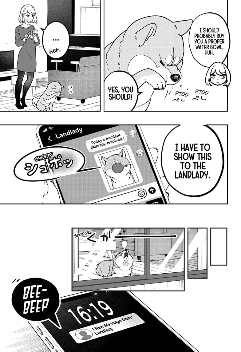 Shiba Inu Rooms Chapter 5 page 21 - 