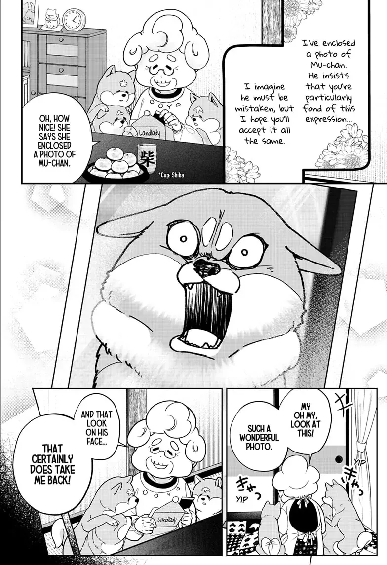 Shiba Inu Rooms Chapter 5 page 10 - 