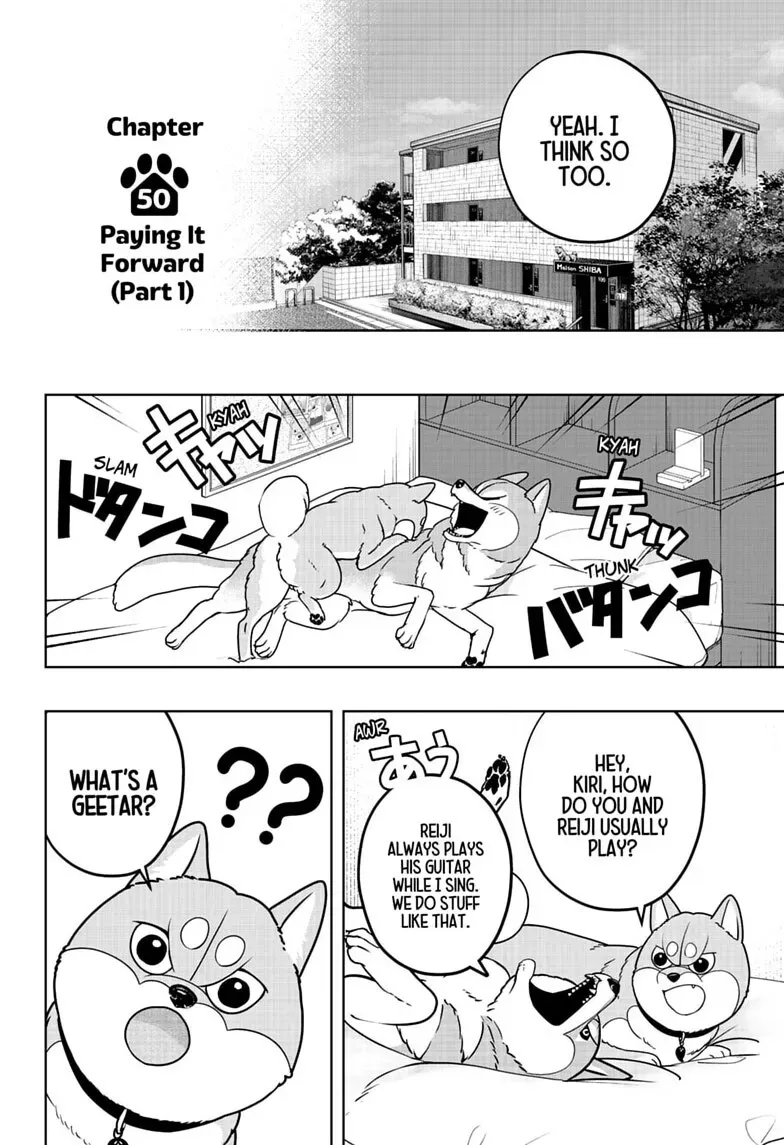 Shiba Inu Rooms Chapter 50 page 10 - 