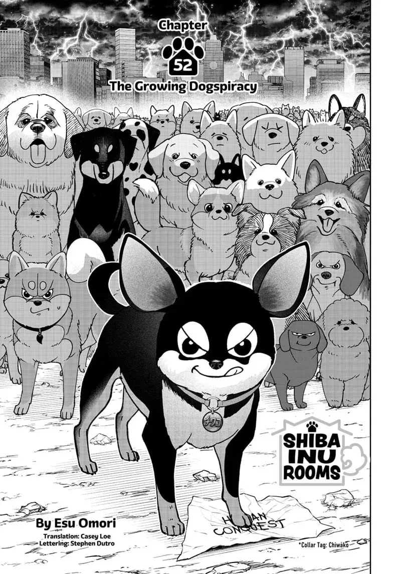 Shiba Inu Rooms Chapter 52 page 1 - 