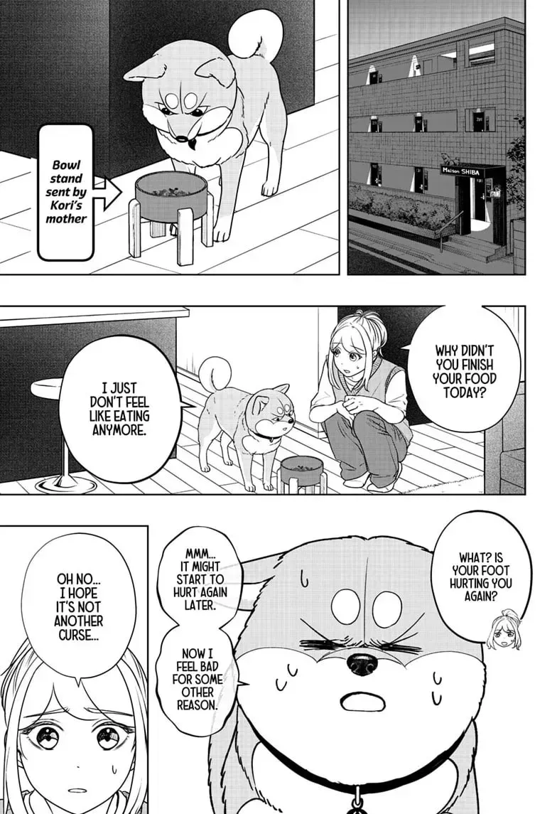 Shiba Inu Rooms Chapter 52 page 11 - 