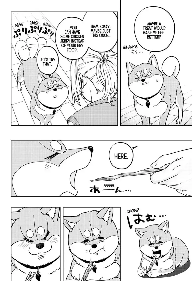 Shiba Inu Rooms Chapter 52 page 12 - 