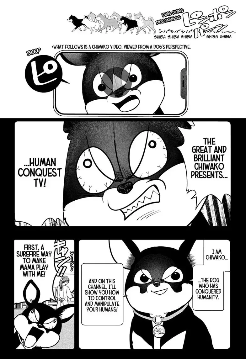 Shiba Inu Rooms Chapter 52 page 16 - 