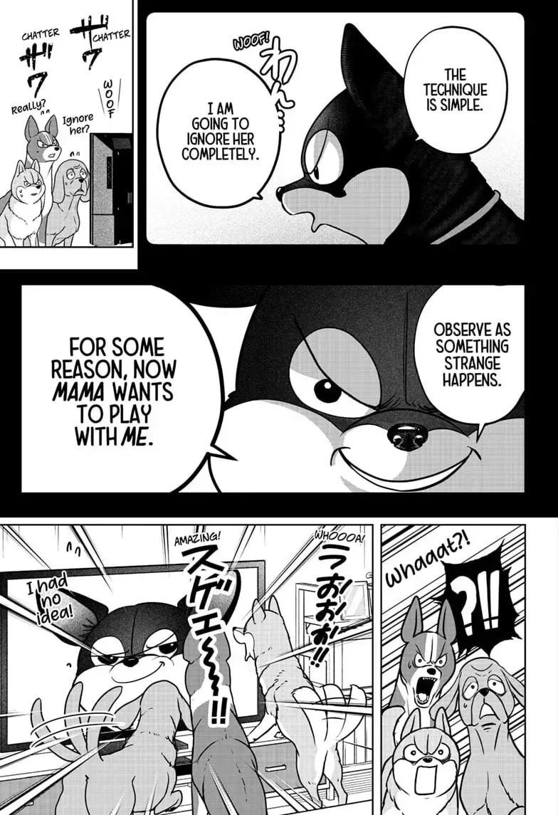 Shiba Inu Rooms Chapter 52 page 17 - 