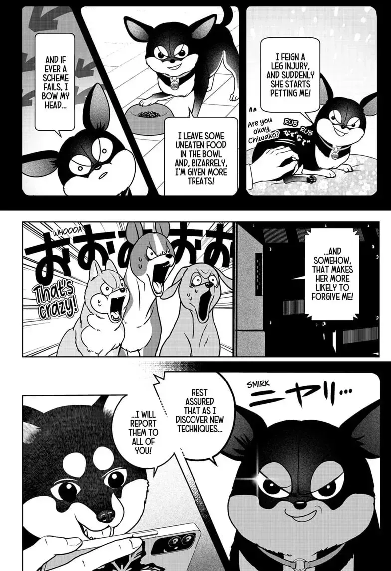 Shiba Inu Rooms Chapter 52 page 18 - 