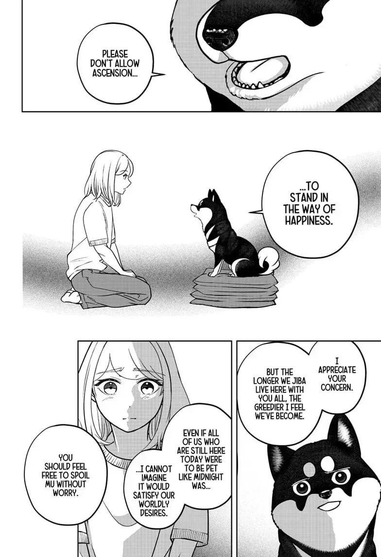 Shiba Inu Rooms Chapter 52 page 20 - 