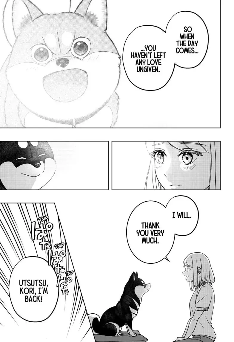 Shiba Inu Rooms Chapter 52 page 21 - 