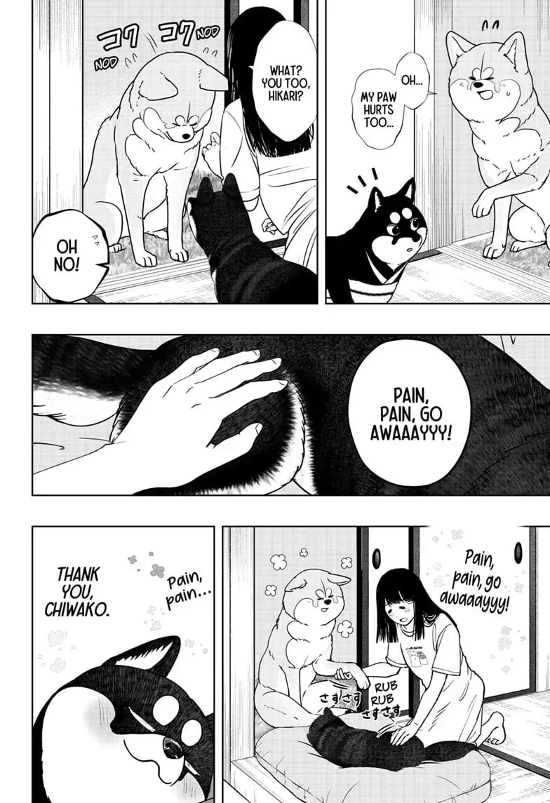 Shiba Inu Rooms Chapter 52 page 24 - 